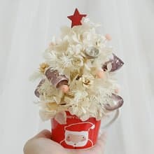 教學影片區 聖誕節聖誕佈置花禮 聖誕永生乾燥盆花