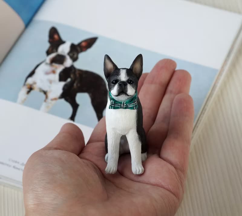 Custom made. Boston terrier. Miniature figurine of your Dog made in polymer clay