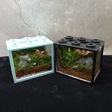 【苔療癒】生態積木盒DIY材料包/母親節禮物