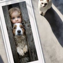 裝飾畫-附畫框 | 入厝禮| 掛畫| 民宿佈置|  室內設計| 海報