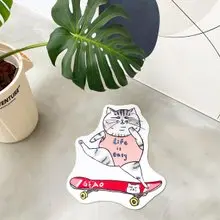 滑板貓貓 羊羔絨地毯 地墊