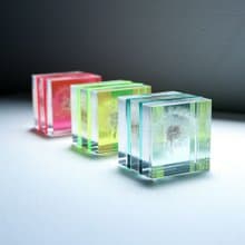 Sola cube Slice 螢光觀賞斷層塊 (共3色)