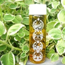 【步步高升】冷泡茶瓶禮盒  手採原片立體茶包 X 8