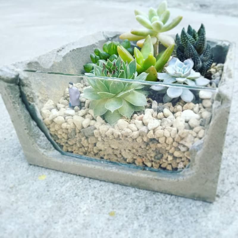水泥造景盆