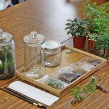 【植物生態瓶】DIY材料包+教學影片