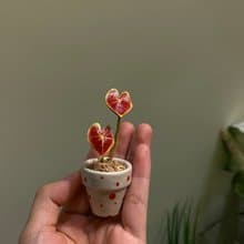 手工皮革植物系彩葉芋