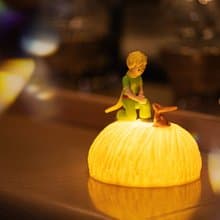 Le Petit Prince 小王子麥田燈 - 重逢