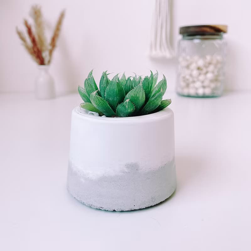 滿山-白水泥暈染水泥小盆栽 植栽