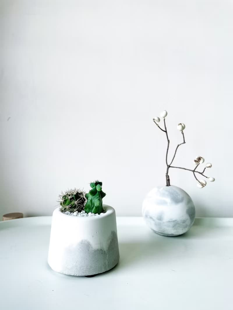 滿山-白水泥暈染水泥小盆栽 植栽
