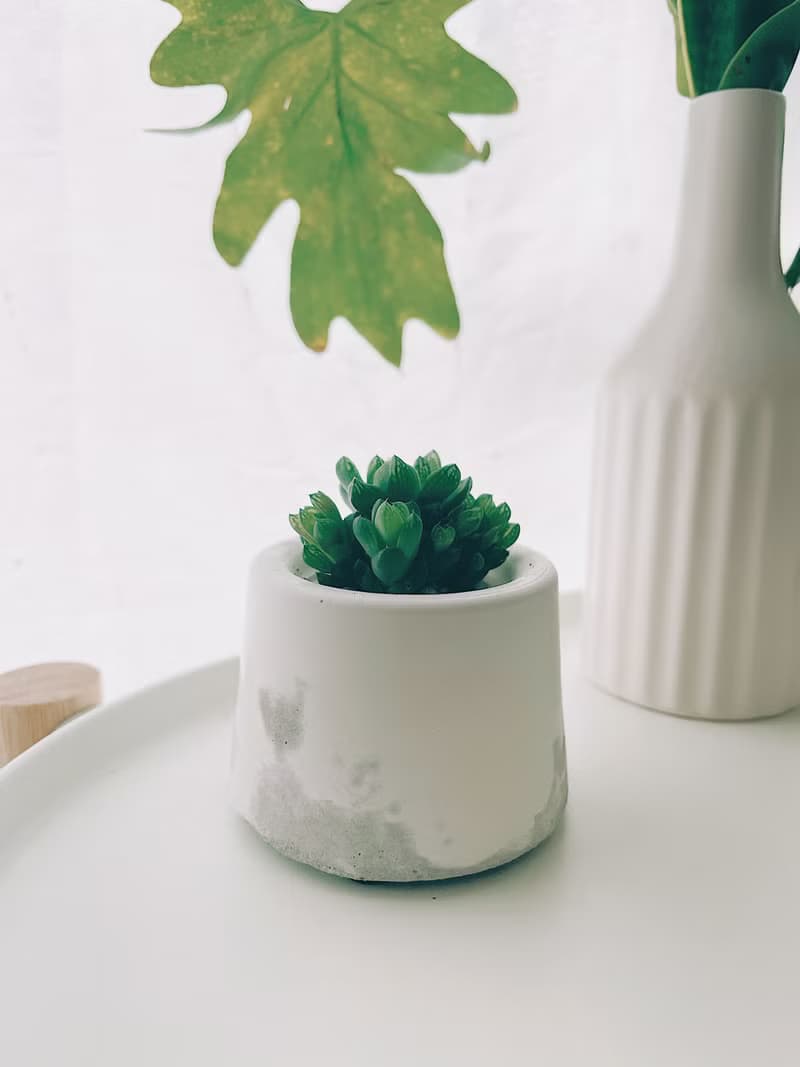滿山-白水泥暈染水泥小盆栽 植栽