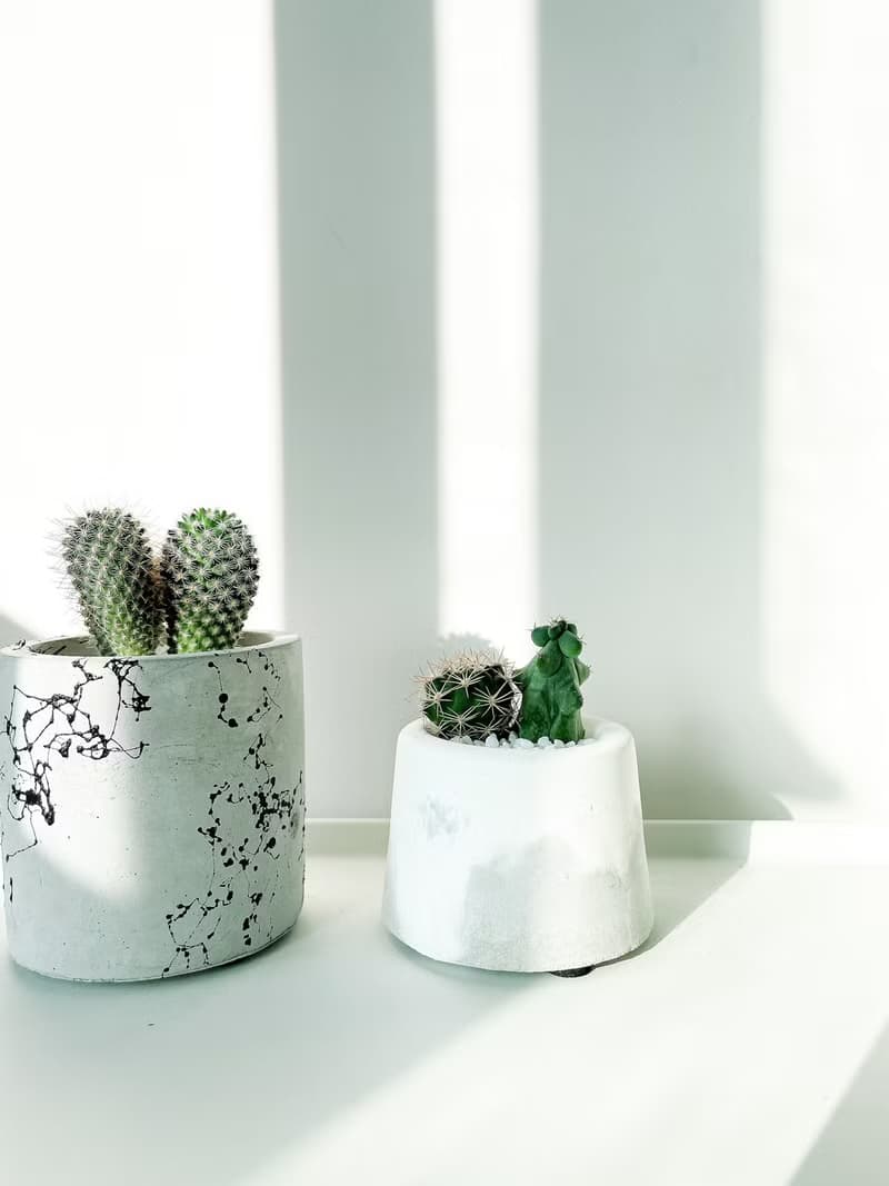 滿山-白水泥暈染水泥小盆栽 植栽