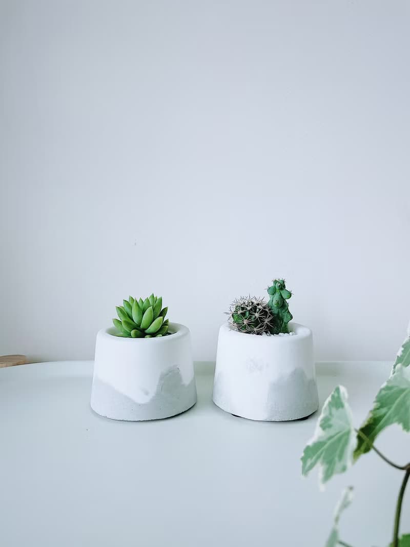 滿山-白水泥暈染水泥小盆栽 植栽