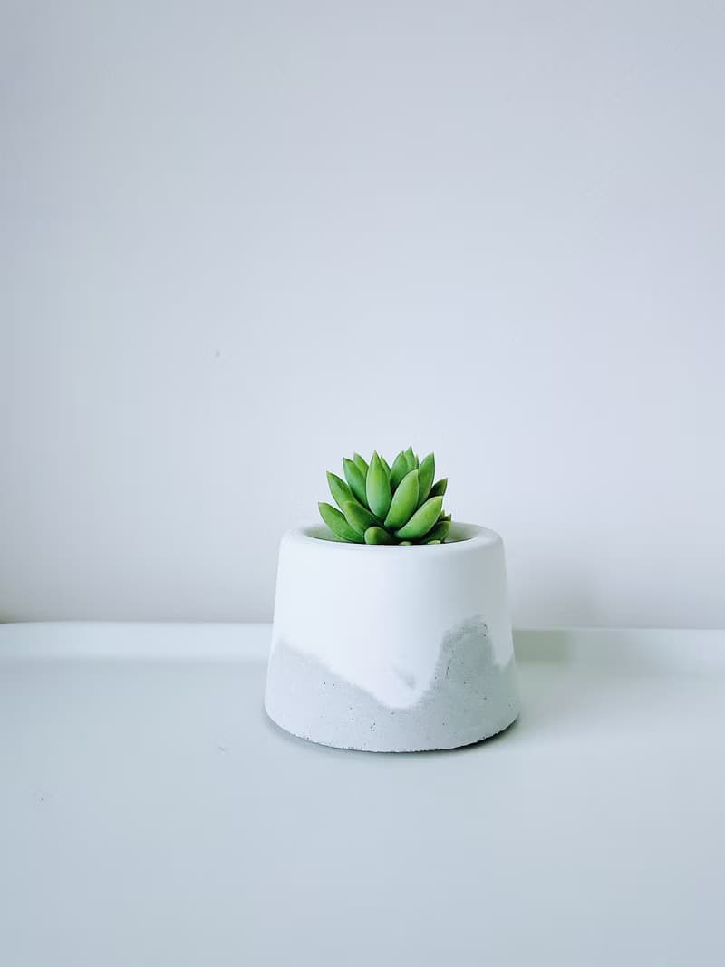 滿山-白水泥暈染水泥小盆栽 植栽