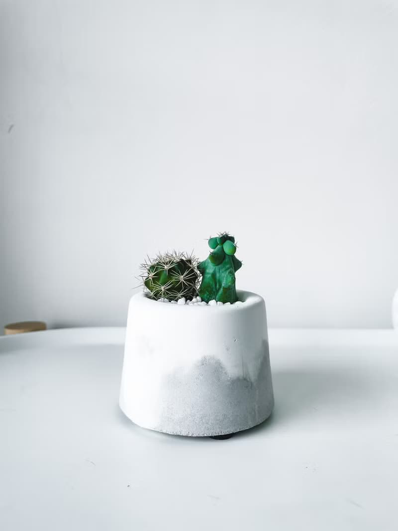 滿山-白水泥暈染水泥小盆栽 植栽