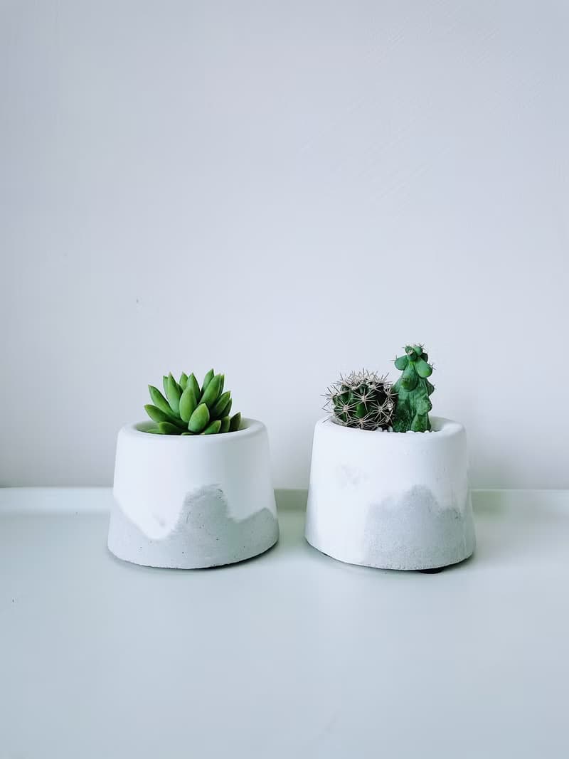 滿山-白水泥暈染水泥小盆栽 植栽
