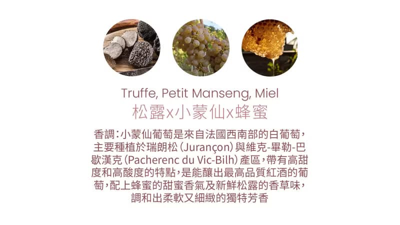 法國Cirerie de Gascogne天然香氛蠟燭 – 松露x小蒙仙x蜂蜜