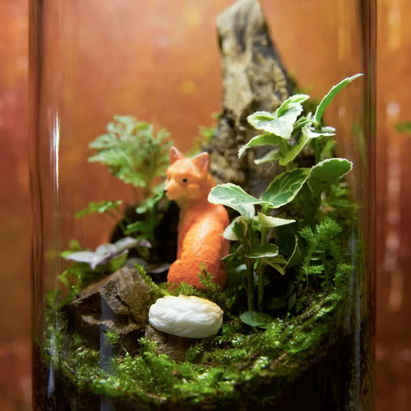 【生態瓶－幻狐嶺】微景觀 室內植栽 禮物 辦公室擺設