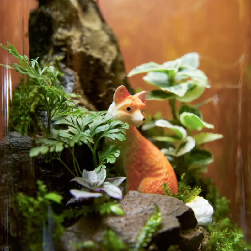 【生態瓶－幻狐嶺】微景觀 室內植栽 禮物 辦公室擺設