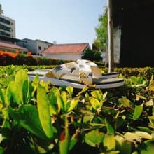 親膚減壓輕量舒適 / 台灣手作室內拖鞋 l 好運旺來 / 橄欖綠