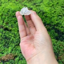 能量擺飾-精選天然冰透原礦可愛魚眼石簇 療癒 開運 快速出貨