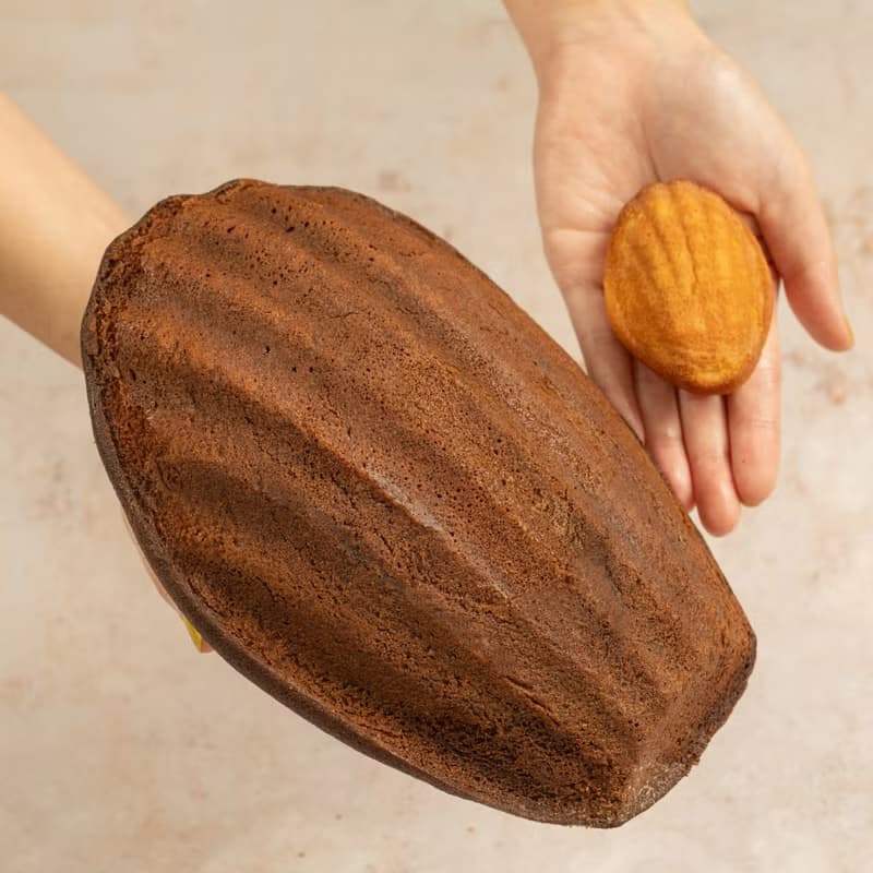 【desertLAND】No.4 瑪德蓮禮盒