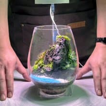 新品上市- 峽崖之聲 / 手工微景觀生態盆