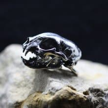 絕對解剖貓雙槳吊墜。 貓頭骨原創解剖挂件