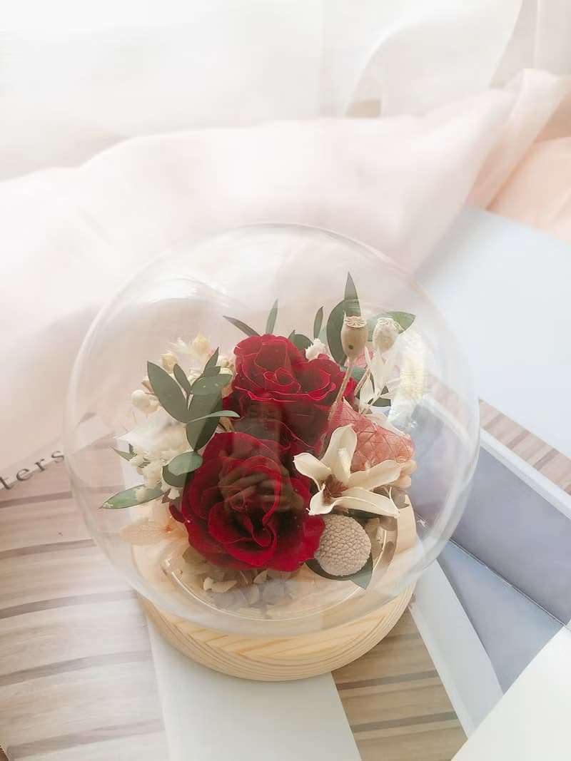 LED 永生花 玻璃罩 永生玫瑰花 乾燥花 紀念日禮物 夜燈 祝賀禮物