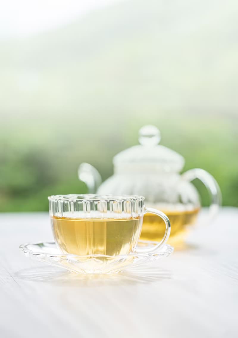 草本康福茶 90g x 2