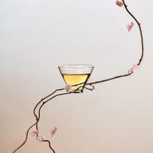 羽曦堂【寺院飄花】台灣金萱烏龍茶