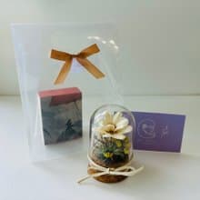 SLL關鍵字香膏 X Mei Story迷你永生花玻璃球 - 奶油