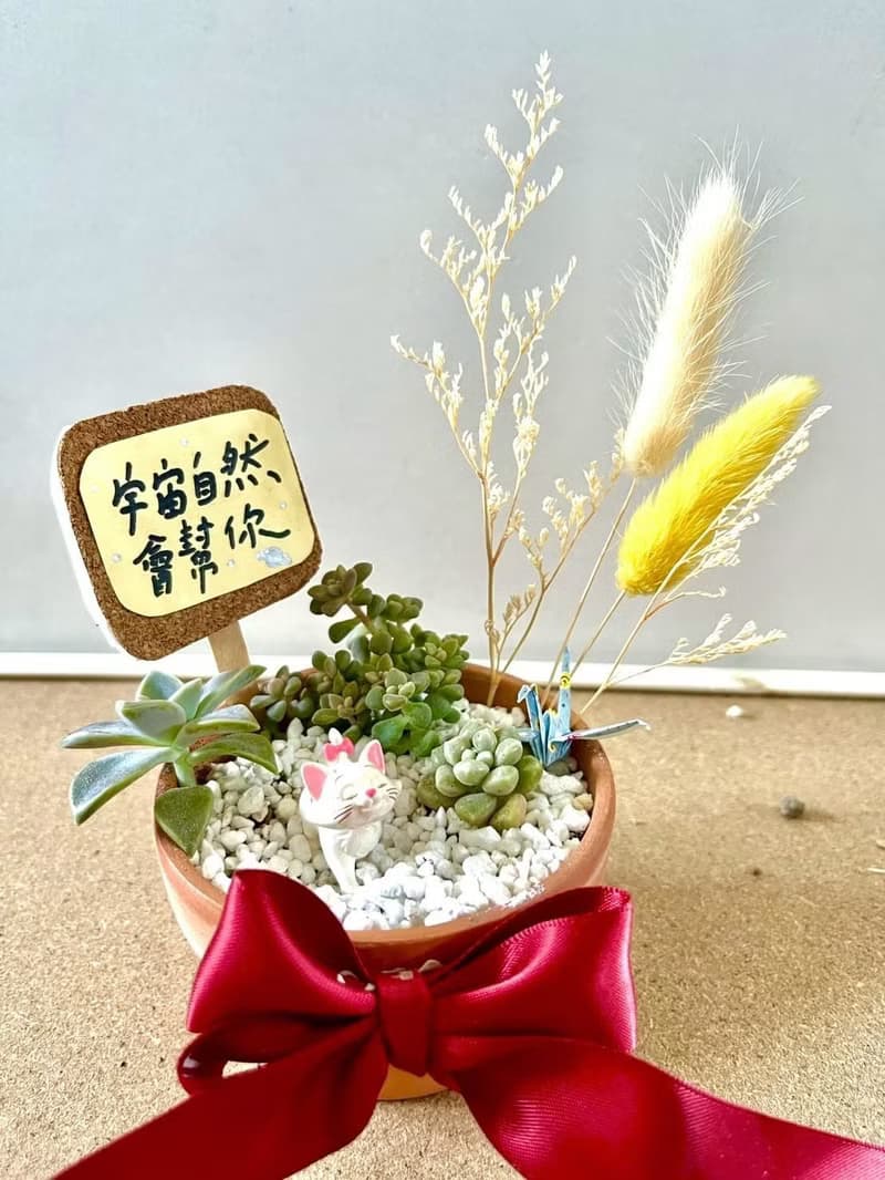 台中多肉組盆 多肉植物 日式枯山水 微景觀 迪士尼 瑪麗貓 Marie