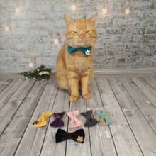 Christmas Bow Tie for Cat | Cat Costume | Velvet Bow Tie | Christmas Decor | Cat