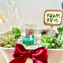Giroro 伍長 晉升禮物 軍人禮物 多肉 仙人掌 盆栽 多肉植物 日式