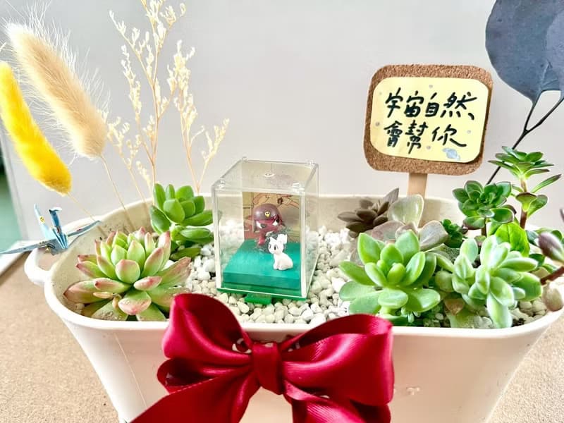 Giroro 伍長 晉升禮物 軍人禮物 多肉 仙人掌 盆栽 多肉植物 日式