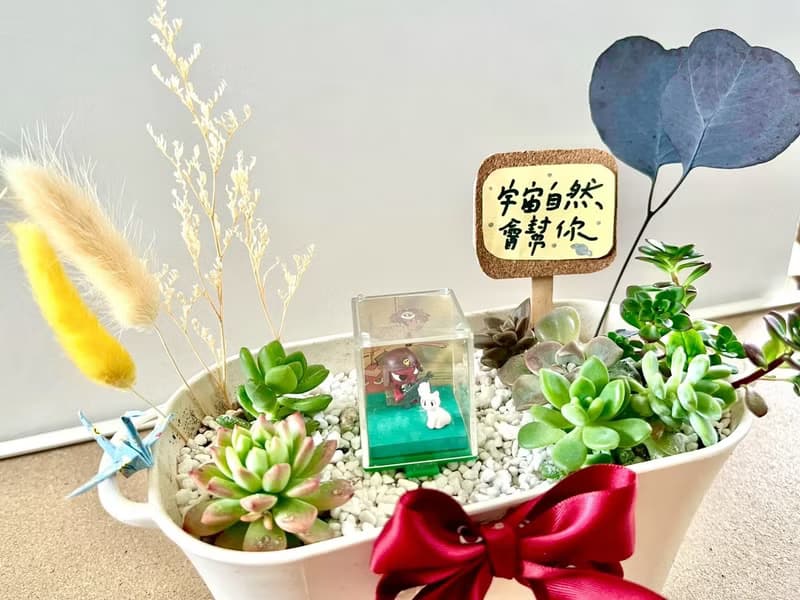 Giroro 伍長 晉升禮物 軍人禮物 多肉 仙人掌 盆栽 多肉植物 日式