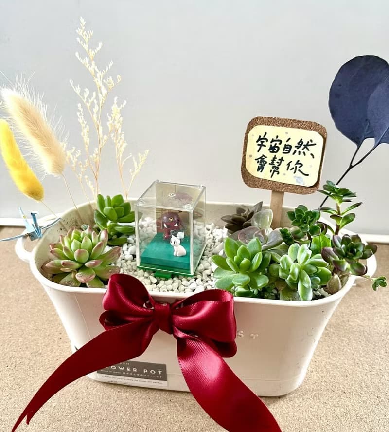 Giroro 伍長 晉升禮物 軍人禮物 多肉 仙人掌 盆栽 多肉植物 日式