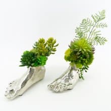 千里之足多肉植栽/擬真植物/多肉/禮物/居家佈置/綠化