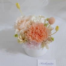 永生康乃馨盆花 婚禮結婚捧花乾燥花生日畢業禮物畢業花束c