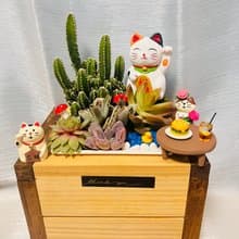 獨家訂製木箱組盆 開幕誌慶 新居落成 升官喬遷 婚禮 生日禮