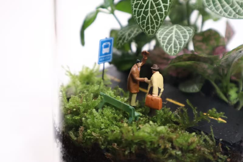 【微景觀】 離別與重逢 - 微景觀/室內植物/畢業禮物/相遇/送別