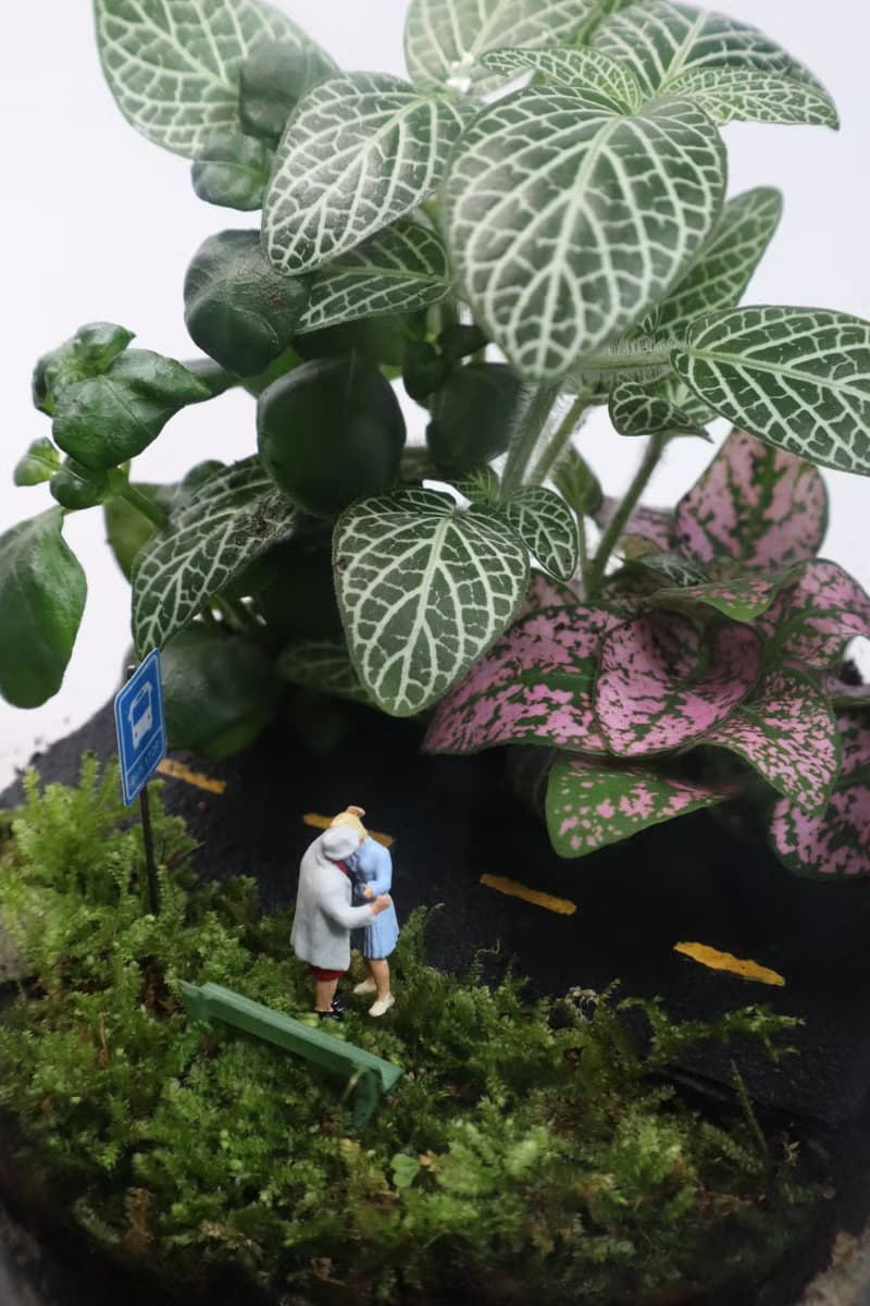 【微景觀】 離別與重逢 - 微景觀/室內植物/畢業禮物/相遇/送別