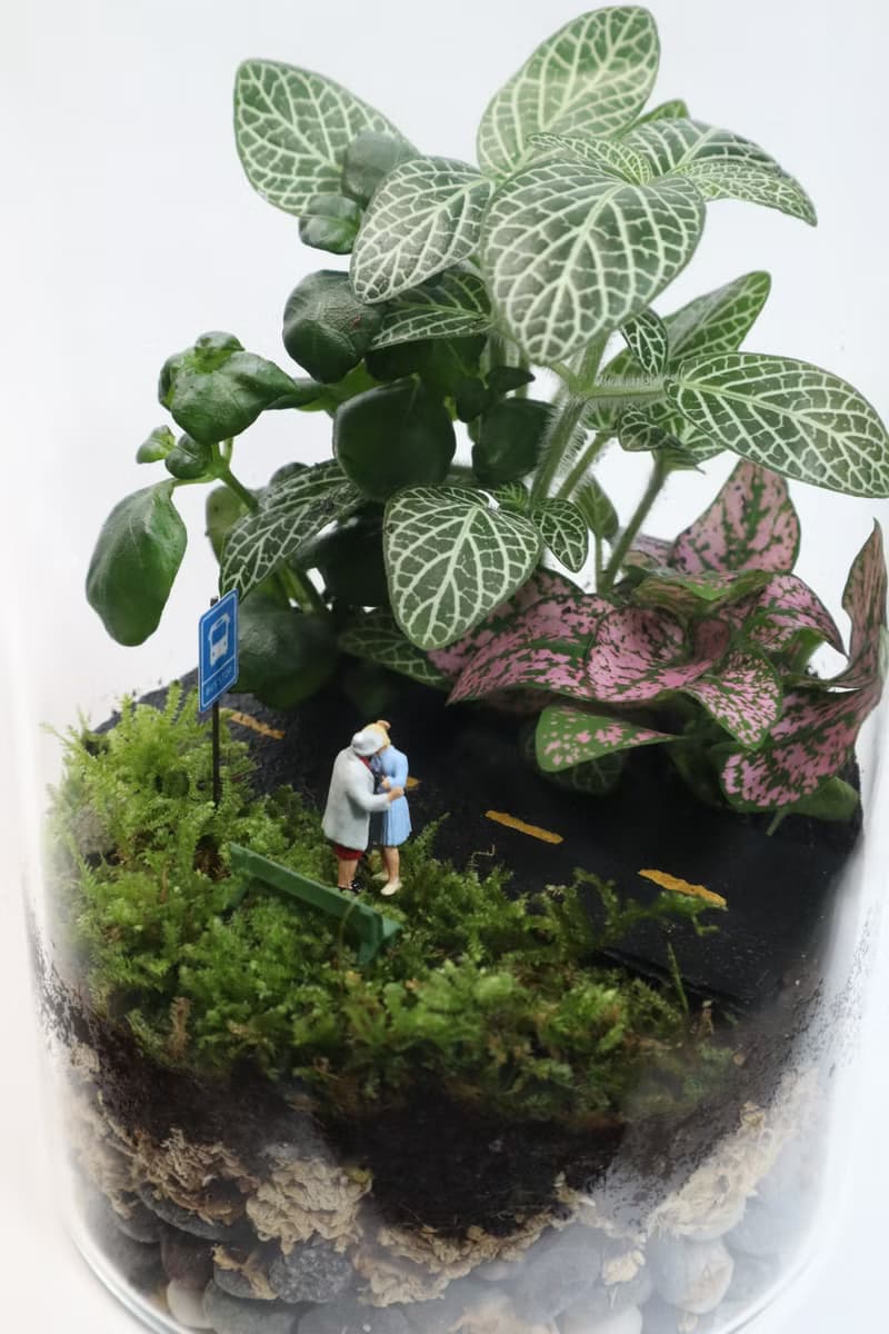 【微景觀】 離別與重逢 - 微景觀/室內植物/畢業禮物/相遇/送別