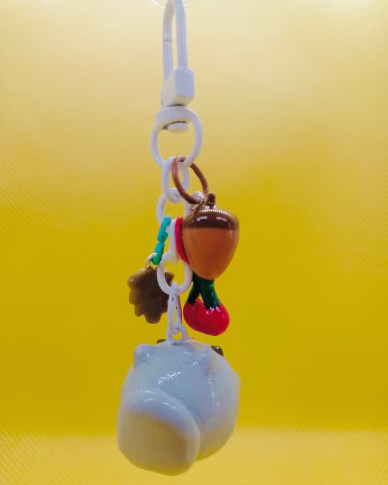 Ezo Flying Squirrel Keychain with his Favorites