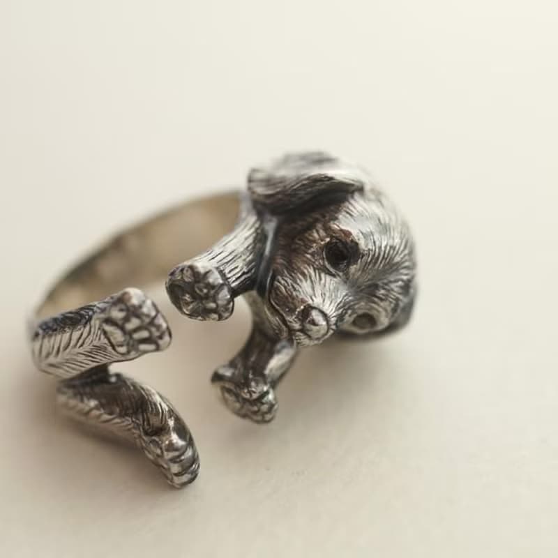 犬リング ミニチュアダックスフント