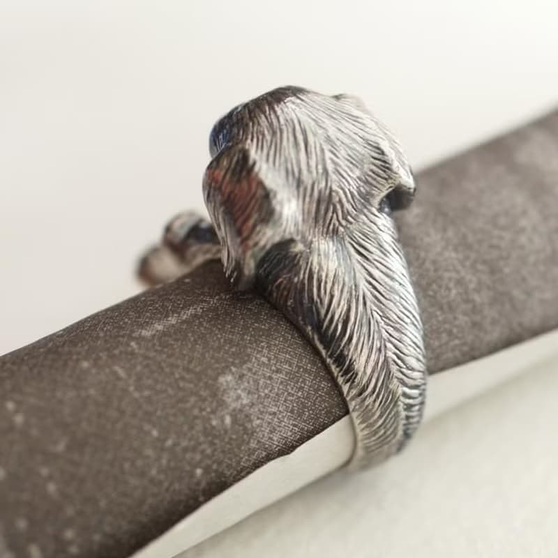 犬リング ミニチュアダックスフント