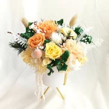 永生康乃馨 盆花/母親節/花束