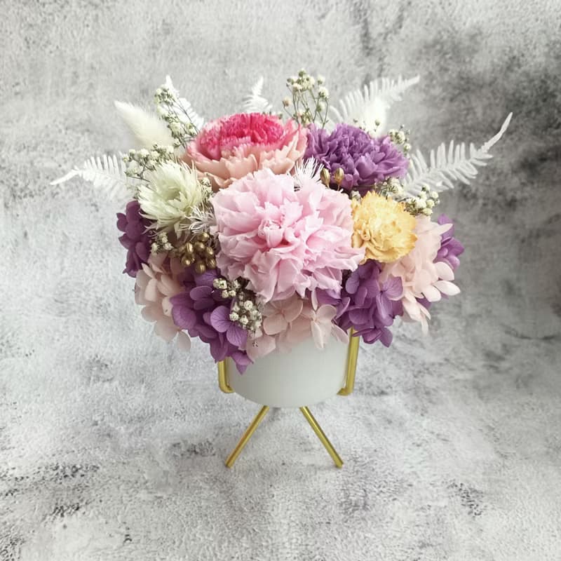永生康乃馨 盆花/母親節/花束