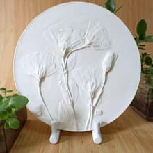 情人節禮物/植物浮雕 /交換禮物.牆壁裝飾.花朵