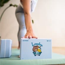 LINE FRIENDS正版授權 50D瑜珈磚 熊大 莎莉 兔兔